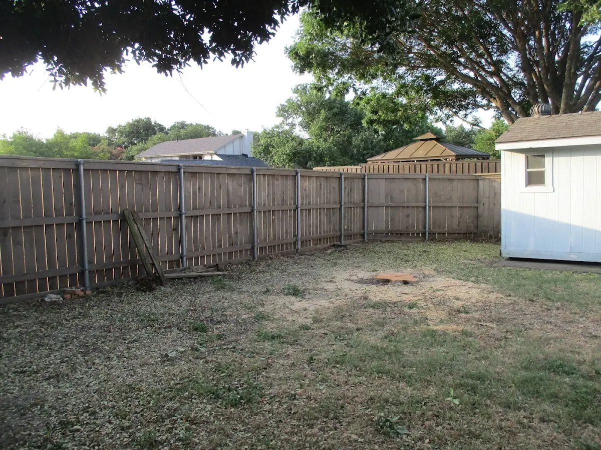 Cleared yard after professional tree removal in Brownsville